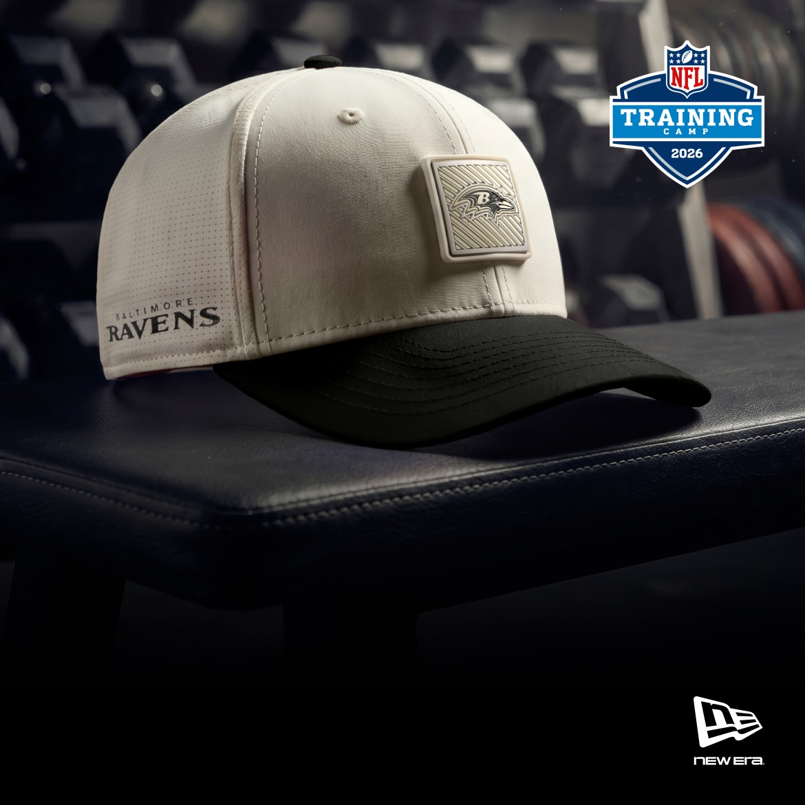Baltimore Ravens Apparel, Baltimore Ravens Merchandise, Ravens Pro